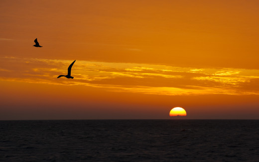 834542 (a): :2560x1600